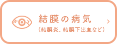 結膜の病気(結膜炎、結膜下出血など)